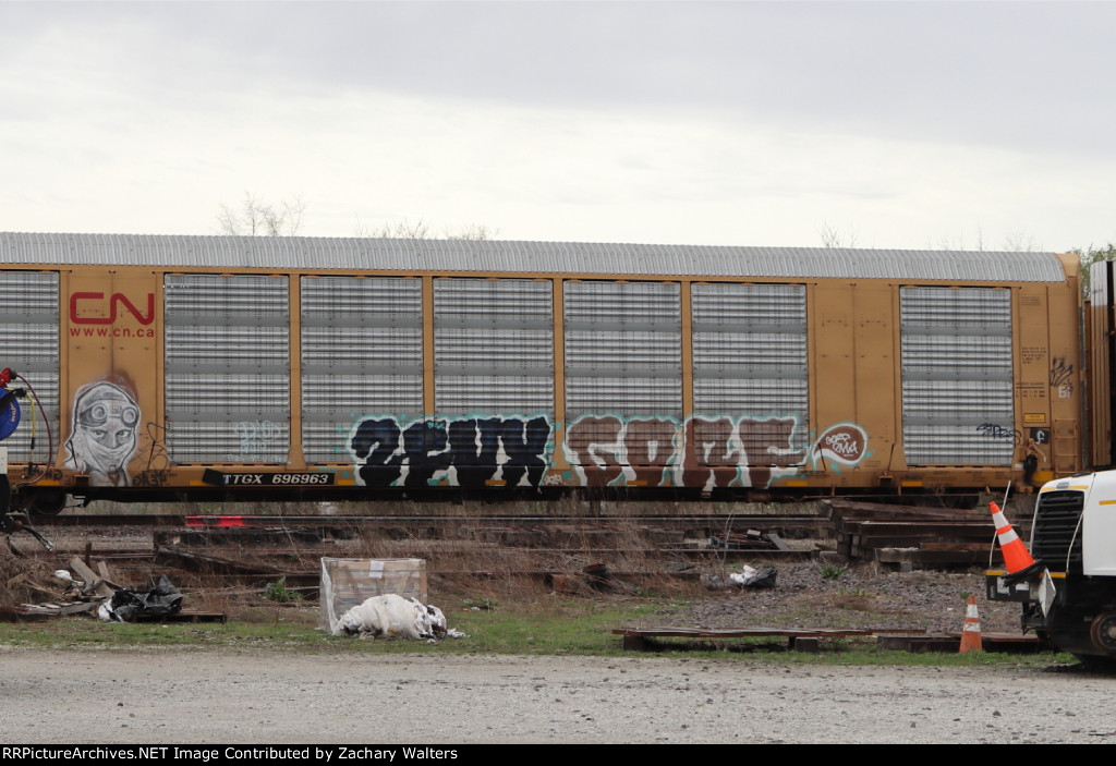 TTGX 696963
